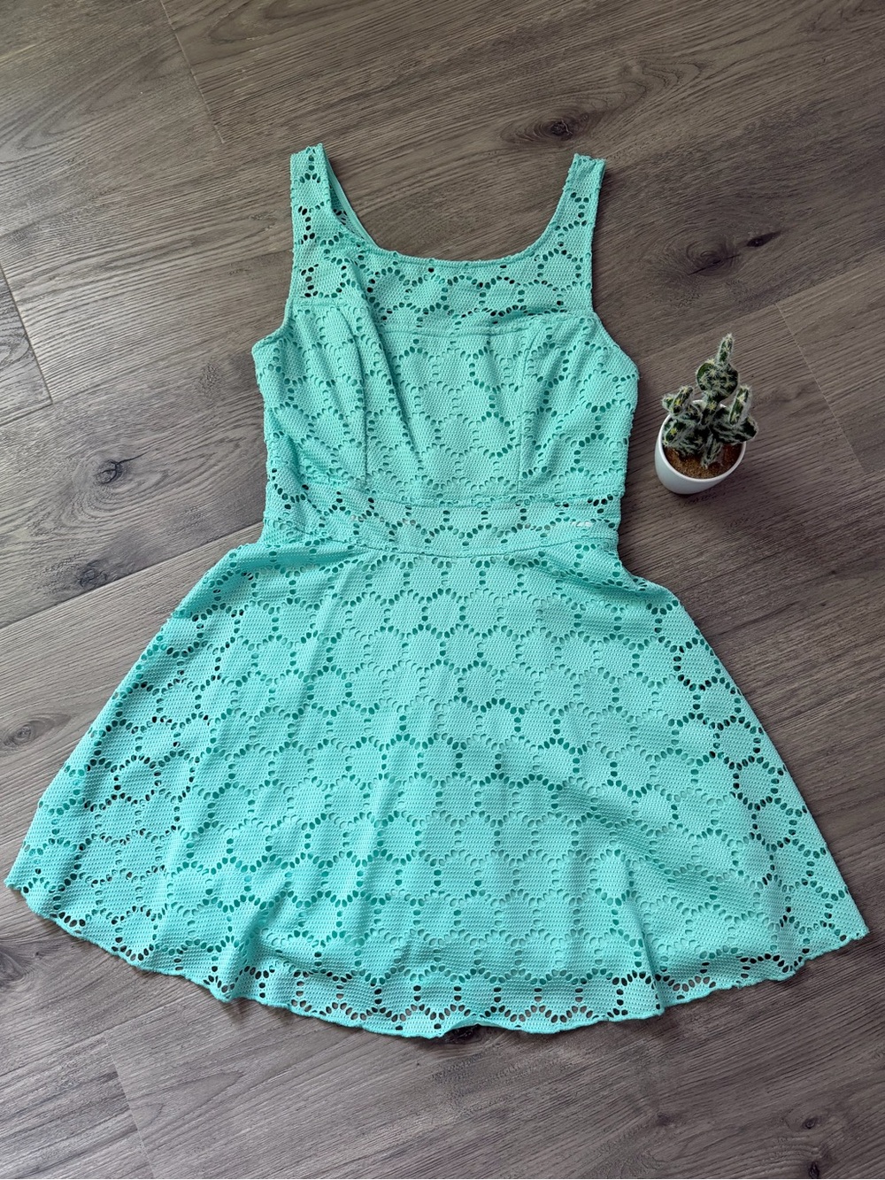 Trixxi Mint Green Eyelet Fit-and-Flare Mini Dress